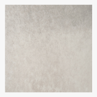 A02