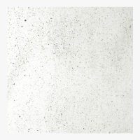 A08