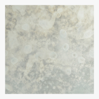 A19