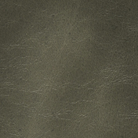 Grey Leather 