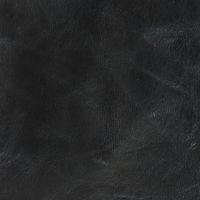 Navy Leather 