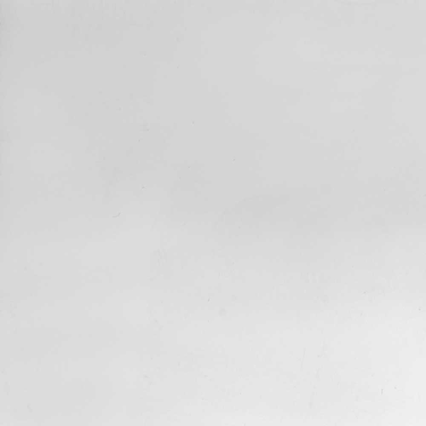 Polished Stainless Steel 